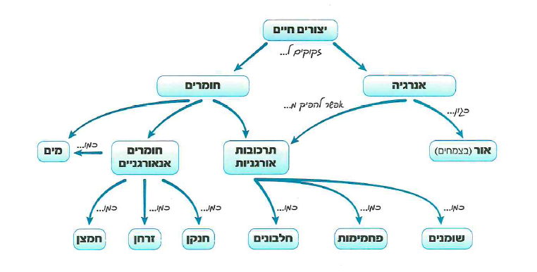 (בספר תרשים)